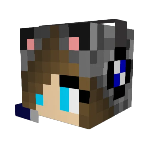eagleclaw5641 Minecraft avatar head, 3D render