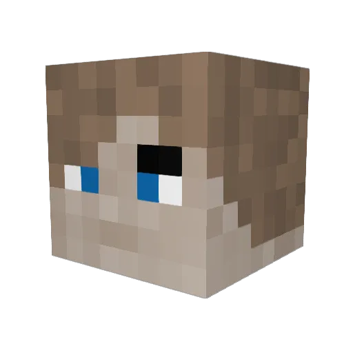 eagleeyesam Minecraft avatar head, 3D render