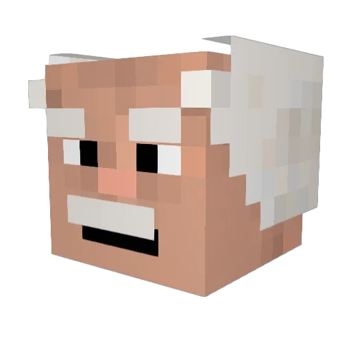 eagletalon00 Minecraft avatar head, 3D render