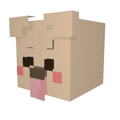 eajpark92 Minecraft avatar head, 3D render