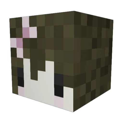 eamoreira Minecraft avatar head, 3D render