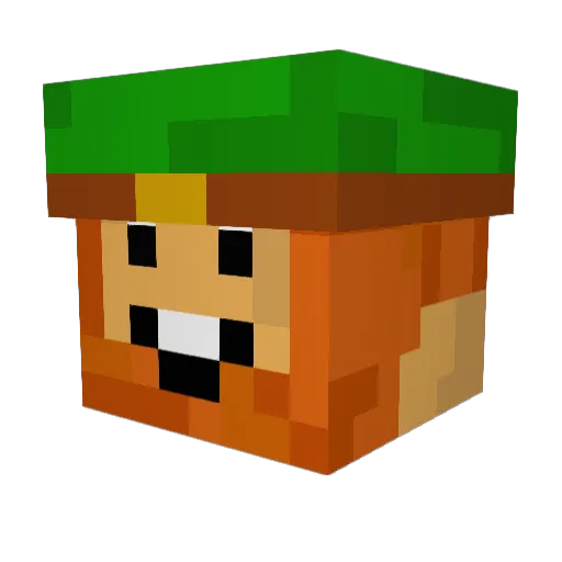 easy___E Minecraft avatar head, 3D render