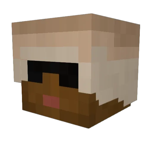 eat73 Minecraft avatar head, 3D render