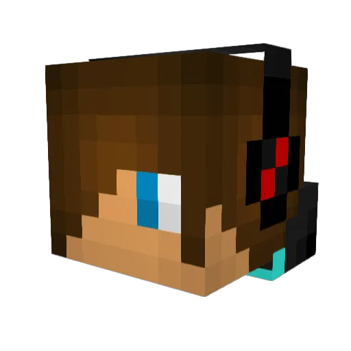 eatingpickles Minecraft avatar head, 3D render