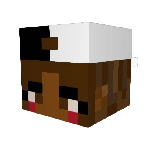 eatpearl Minecraft avatar head, 3D render