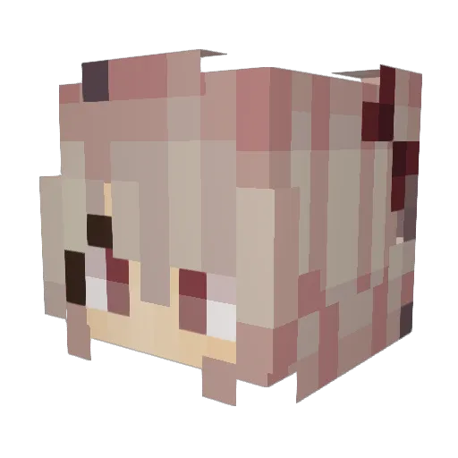 eayla Minecraft avatar head, 3D render