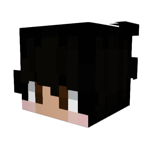 eb0_ Minecraft avatar head, 3D render