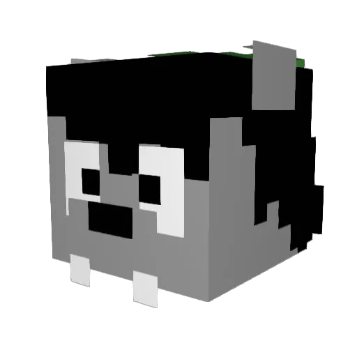 ebalumbus Minecraft avatar head, 3D render