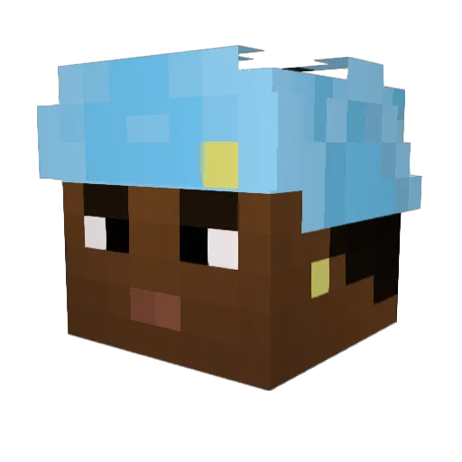 ebomb22 Minecraft avatar head, 3D render