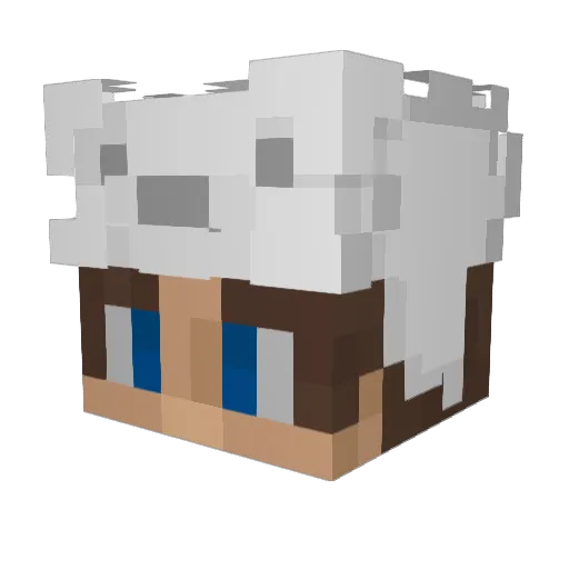 ebounty Minecraft avatar head, 3D render