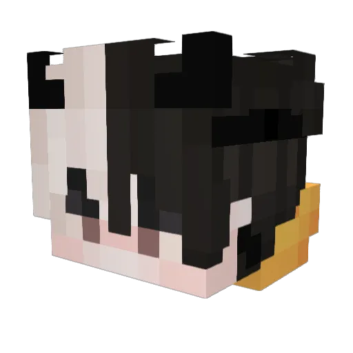 eboy521 Minecraft avatar head, 3D render
