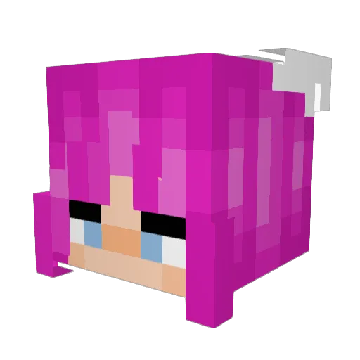 ebroberson Minecraft avatar head, 3D render