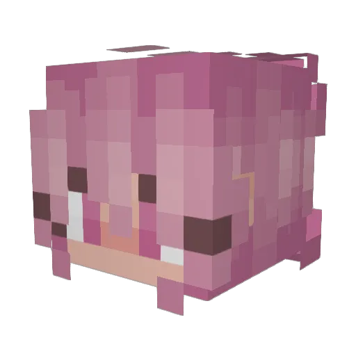 ebskater08 Minecraft avatar head, 3D render