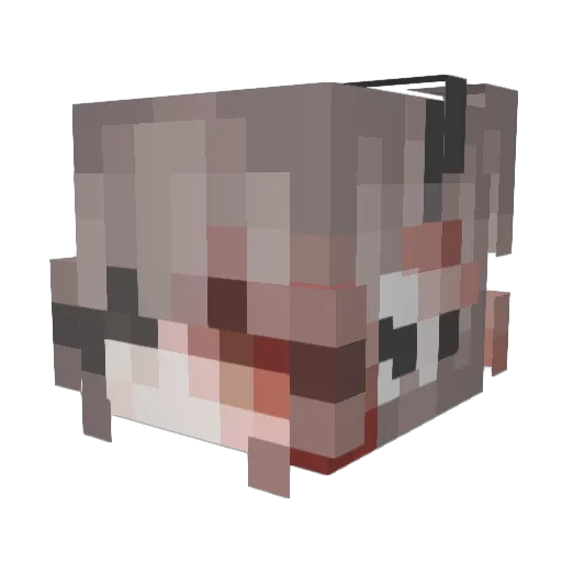 ecL1pz__ Minecraft avatar head, 3D render