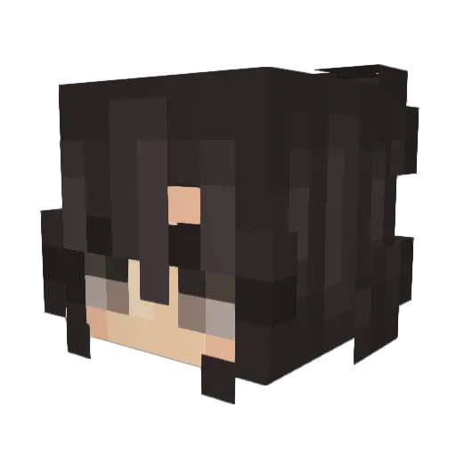 ecc_wsx Minecraft avatar head, 3D render
