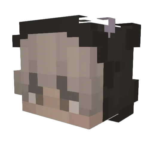 eccopip Minecraft avatar head, 3D render
