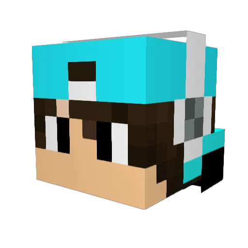 ech0708 Minecraft avatar head, 3D render