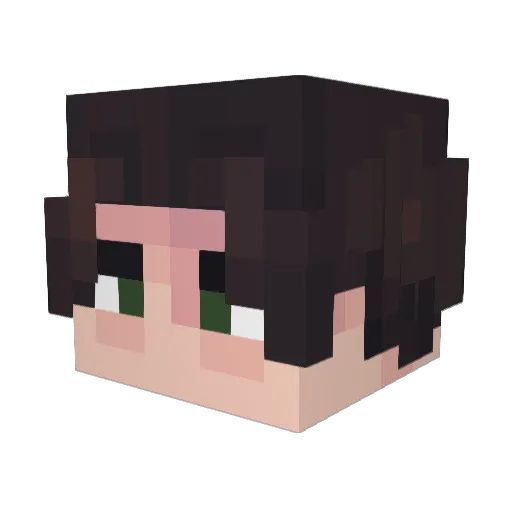 echo1504 Minecraft avatar head, 3D render