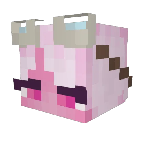 echo_Alchemist Minecraft avatar head, 3D render