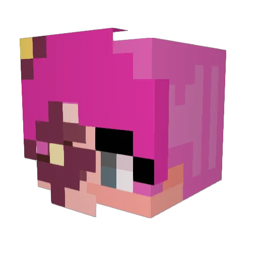 echo_moss9 Minecraft avatar head, 3D render