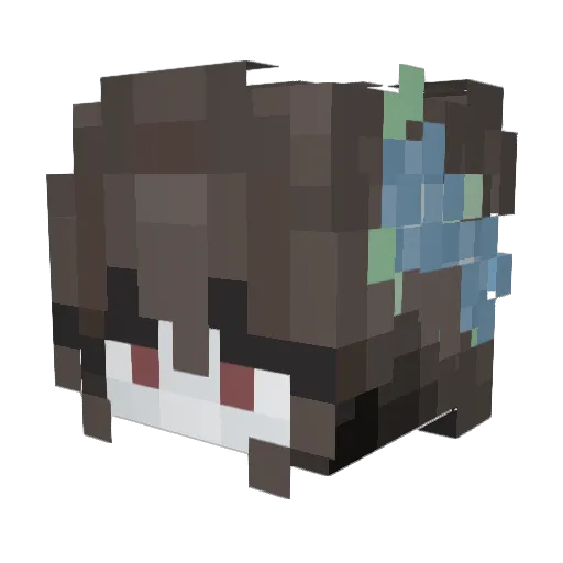 echo_wish Minecraft avatar head, 3D render
