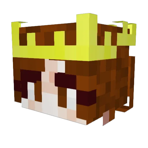 echodragonkiller Minecraft avatar head, 3D render