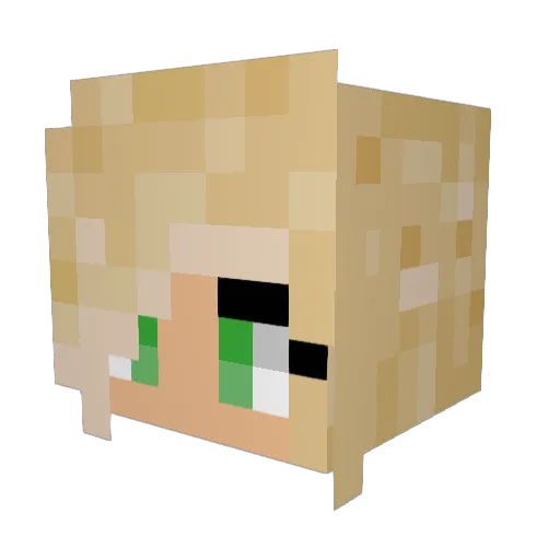 echofives1 Minecraft avatar head, 3D render
