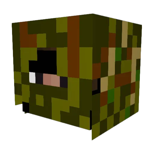 echoflame12 Minecraft avatar head, 3D render