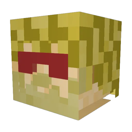 echokid360 Minecraft avatar head, 3D render