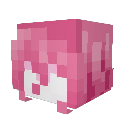 echolotucation Minecraft avatar head, 3D render