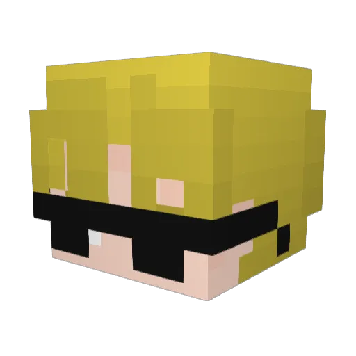 echooo_ Minecraft avatar head, 3D render