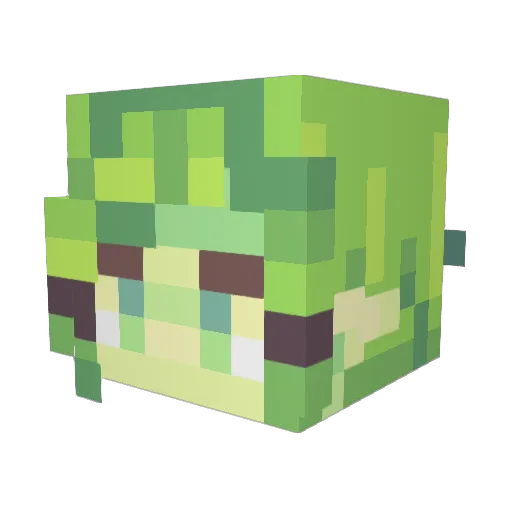 echosong434 Minecraft avatar head, 3D render