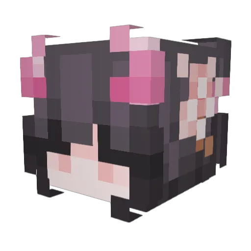 ecilaaaa Minecraft avatar head, 3D render
