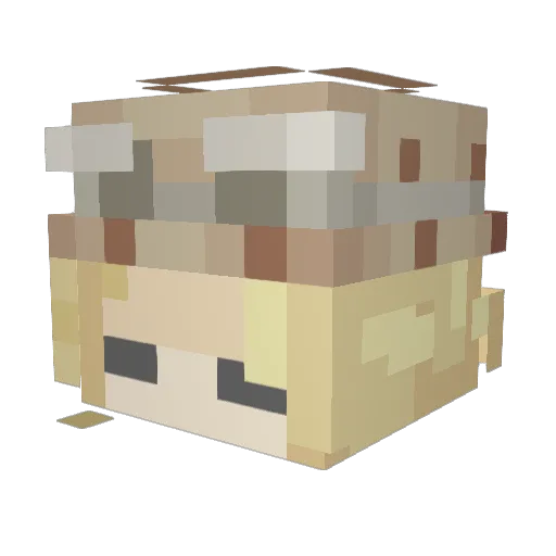 ecksjace Minecraft avatar head, 3D render