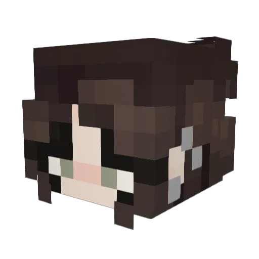 eclecticpisces Minecraft avatar head, 3D render