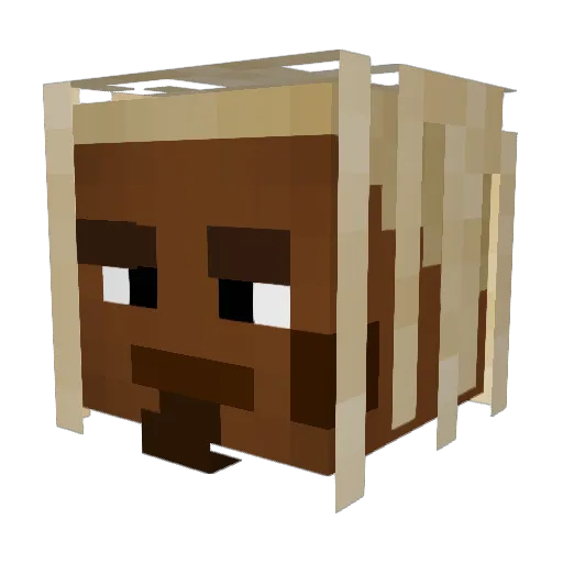 ecliptiic Minecraft avatar head, 3D render