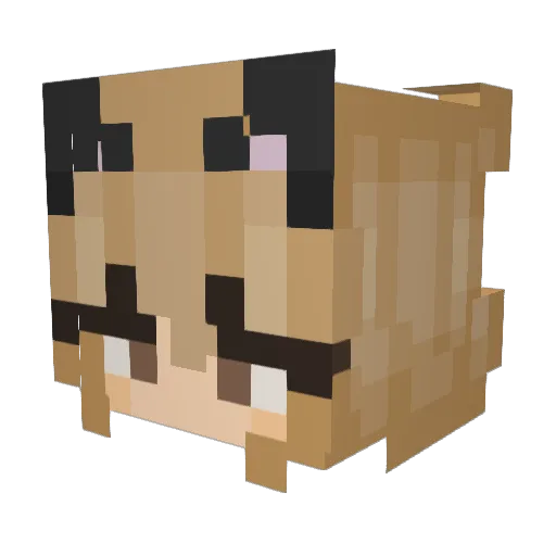 ecm96 Minecraft avatar head, 3D render