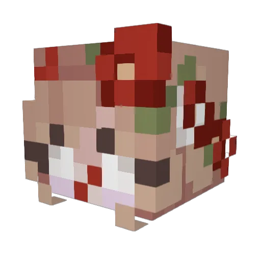 ecottis Minecraft avatar head, 3D render