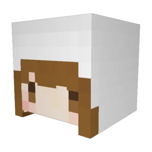 ecroy12 Minecraft avatar head, 3D render