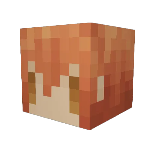 ecryou Minecraft avatar head, 3D render