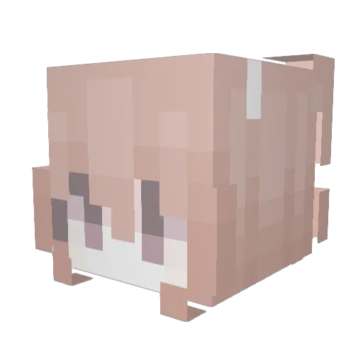 ecstaticella Minecraft avatar head, 3D render