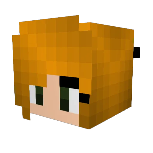 ect1015 Minecraft avatar head, 3D render