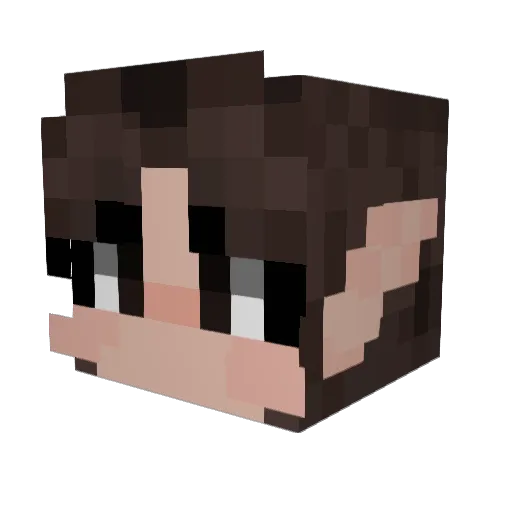 ectodork Minecraft avatar head, 3D render