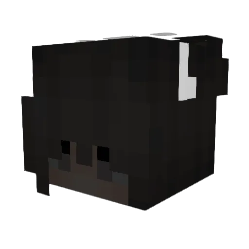 ecyia Minecraft avatar head, 3D render