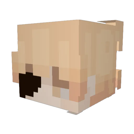edNeddy88 Minecraft avatar head, 3D render