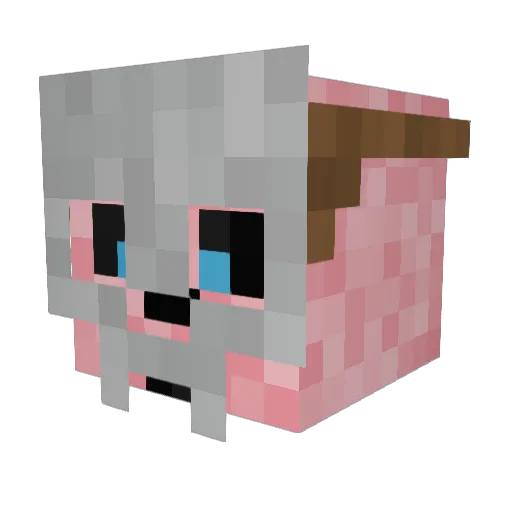 ed_vilon Minecraft avatar head, 3D render