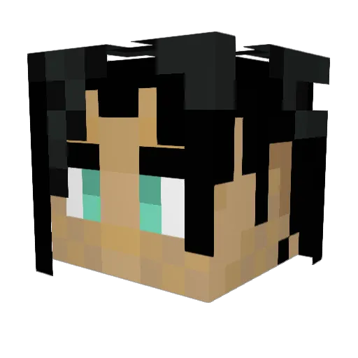 edamame1560 Minecraft avatar head, 3D render