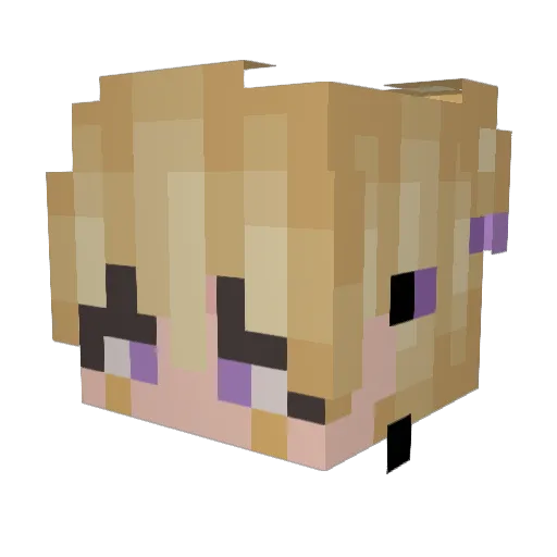 edaryz Minecraft avatar head, 3D render