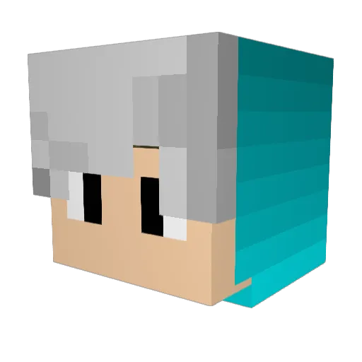 edaw345 Minecraft avatar head, 3D render