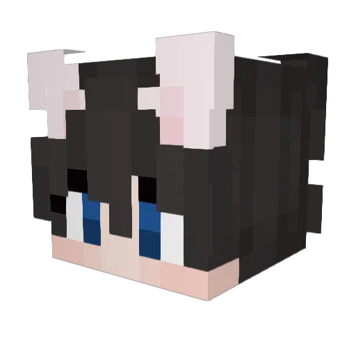 eddie3935 Minecraft avatar head, 3D render